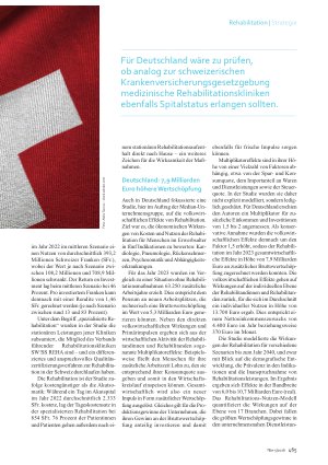 Vorschauseite 2: Nutzen von Rehabilitation. Deutschland und Schweiz im Vergleich