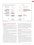 Vorschauseite 2: Revolutioniert Photon Counting die CT? (Teil 1)