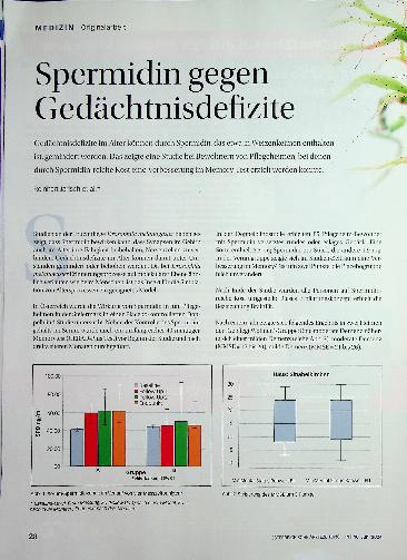 Vorschauseite 1: Spermidin gegen Gedächtnisdefizite