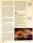 Vorschauseite 4: Psychedelika-Medizin: Die wunde Seele heilen