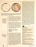 Vorschauseite 5: Psychedelika-Medizin: Die wunde Seele heilen