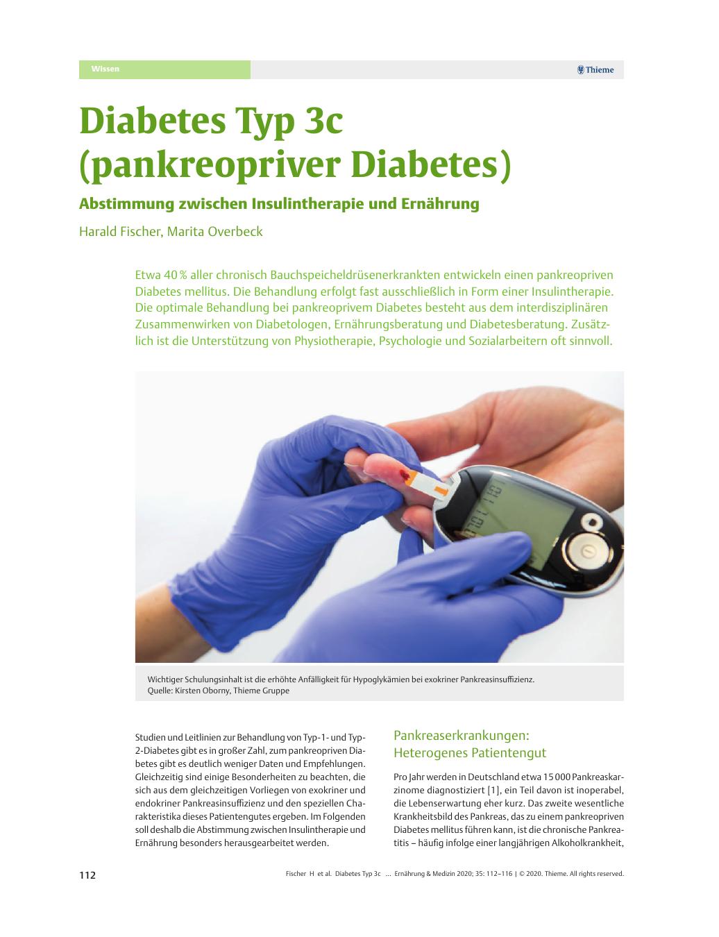 Vorschauseite 1: Diabetes Typ 3c (Pankreopriven Diabetes)