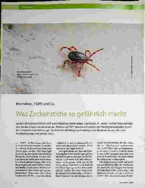 Vorschauseite 1: Borreliose, FSME und Co. Was Zeckenstiche so gefährlich macht