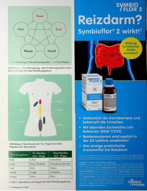 Vorschauseite 2: Ständig verstopft Japanische Akupunktur und Moxibustion bei chronischer Sinusitis