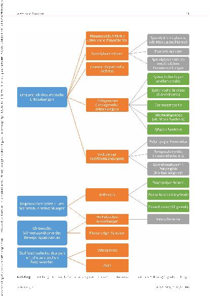 Vorschauseite 3: Rheuma hautnah – auch in der Ausbildung Qualifizierung von Ehrenamtlichen für Schulungseinheiten in Fach(hoch)schulen für Gesundheitsfachberufe The text is already correctly spell…