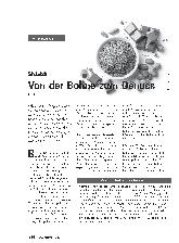 Vorschauseite 1: Schokolade: Von der Bohne zum Genuss
