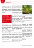 Vorschauseite 3: Johanniskraut: Hypericum perforatum