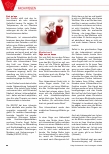 Vorschauseite 5: Johanniskraut: Hypericum perforatum