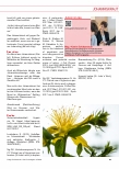 Vorschauseite 6: Johanniskraut: Hypericum perforatum