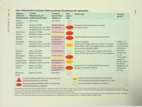 Vorschauseite 5: Das Interaktionspotenzial der Antiemetika
