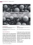 Vorschauseite 1: Allergologie (Teil 7) Krankheitsbilder (II)
