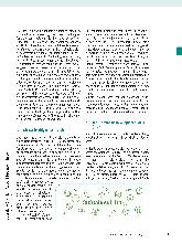 Vorschauseite 2: Nachhaltiges Reporting – Herausforderungen und Chancen für Ergotherapieunternehmen/-praxen