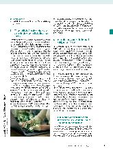 Vorschauseite 4: Nachhaltiges Reporting – Herausforderungen und Chancen für Ergotherapieunternehmen/-praxen