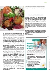 Vorschauseite 4: Ernährung und Wundheilung: Die gut ernährte Wunde