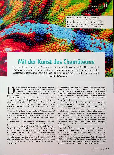 Vorschauseite 1: Mit der Kunst des Chamäleons