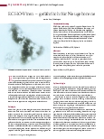 Vorschauseite 1: ECHO-Viren – gefährlich für Neugeborene