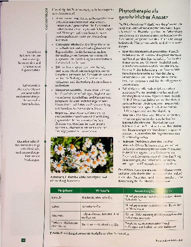 Vorschauseite 2: Parodontitis verstehen und behandeln. Ein integrativer Ansatz mit Homöopathie, Phytotherapie und Orthomolekularmedizin.