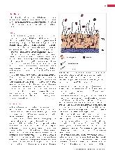 Vorschauseite 2: Listeriose: Eine lebensmittelbedingte Infektion, besonders gefährlich für Alte, Abwehrgeschwächte und Schwangere.