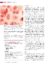 Vorschauseite 3: Listeriose: Eine lebensmittelbedingte Infektion, besonders gefährlich für Alte, Abwehrgeschwächte und Schwangere.