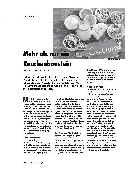 Vorschauseite 1: Mehr als nur ein Knochenbaustein