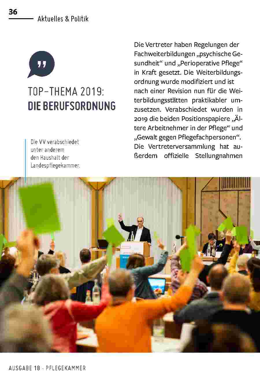 Vorschauseite 1: TOP-THEMA 2019: DIE BERUFSORDNUNG