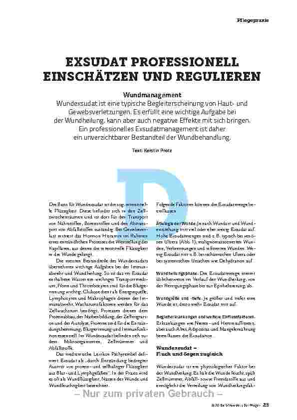 Vorschauseite 2: EXSUDAT PROFESSIONELL EINSCHÄTZEN UND REGULIEREN