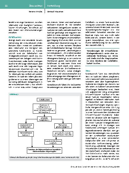 Vorschauseite 3: Physiologische Veränderungen im Alter – was Anästhesistinnen und Anästhesisten wissen sollten