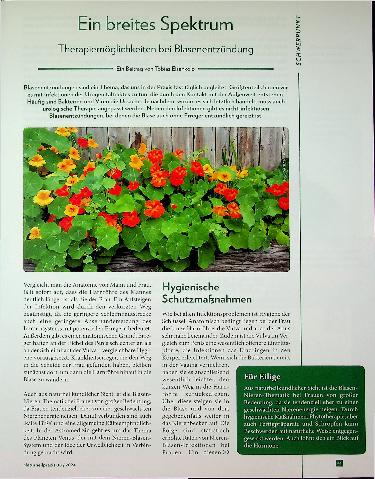 Vorschauseite 1: Ein breites Spektrum an Therapiemöglichkeiten bei Blasenentzündung.