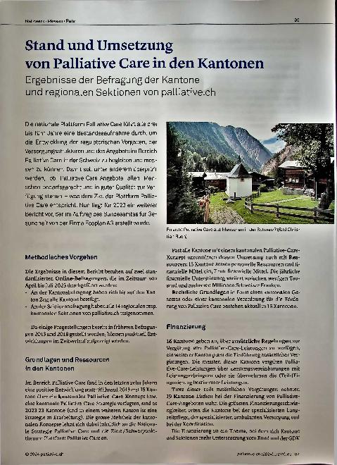 Vorschauseite 1: Stand und Umsetzung von Palliative Care in den Kantonen