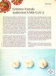 Vorschauseite 1: Grüntee-Extrakt inaktiviert SARS-CoV-2