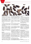 Vorschauseite 3: Mariendistel