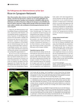 Vorschauseite 1: Risse im Synapsen-Netzwerk