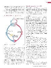 Vorschauseite 2: TACE - transarterielle Chemoembolisation der Leber