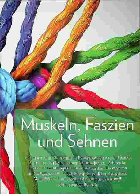 Vorschauseite 1: Moxa gegen Schmerzen im Bewegungsapparat