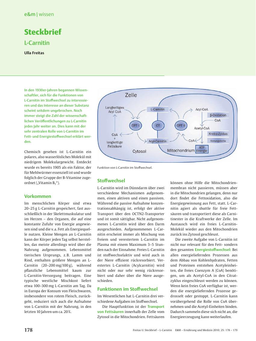 Vorschauseite 1: Steckbrief: L-Carnitin