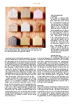 Vorschauseite 3: Natürlich bauen – aber richtig