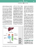 Vorschauseite 5: Laborchemische Parameter zur infektiologischen Diagnostik und Therapiesteuerung auf der Intensivstation