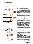 Vorschauseite 3: Arbeiten als Endokrinologie-Assistentin