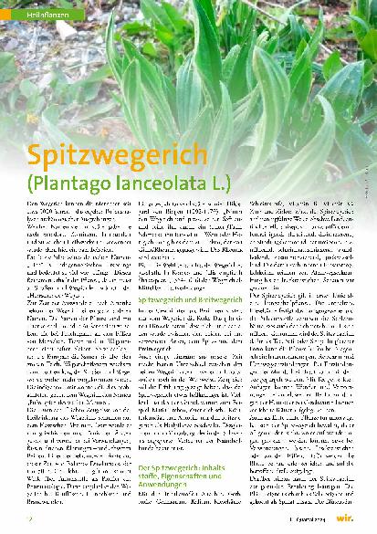 Vorschauseite 1: Spitzwegerich