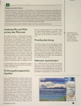 Vorschauseite 2: Der Wermut - eine wertvolle Heilpflanze bei Appetitlosigkeit.