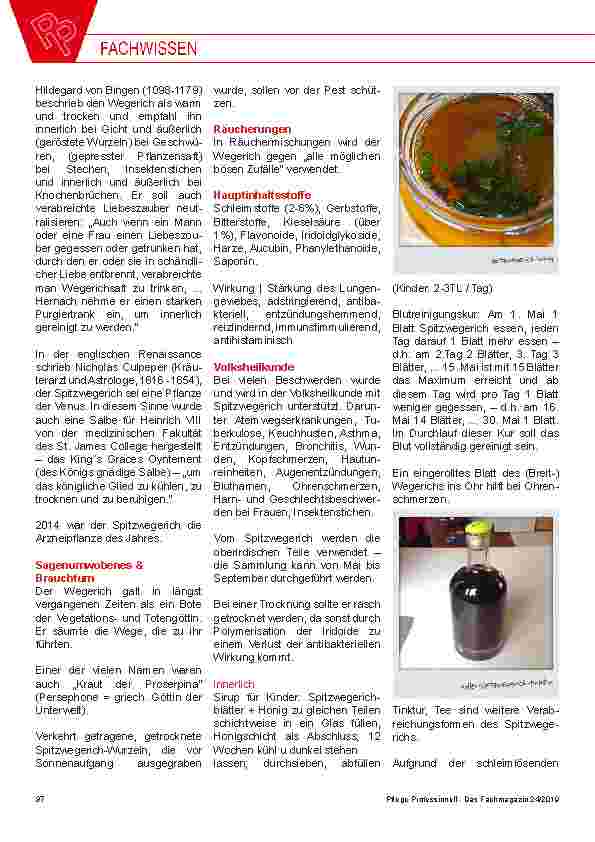Vorschauseite 5: Mit gewollter Fachlichkeit und sprachlicher Leichtigkeit Mit „Christophs Pflege-Café“ wagt „Pflege Professionell“ ein innovatives Format
