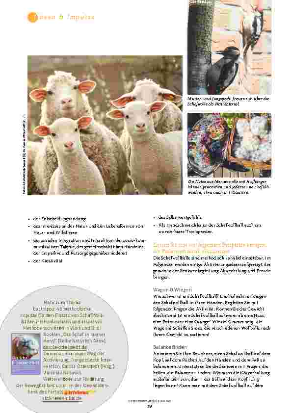 Vorschauseite 3: Das Schaf in meiner Hand