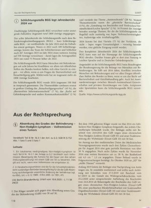 Vorschauseite 2: Aktuelles Entlastungsbudget 2025: mehr Flexibilität