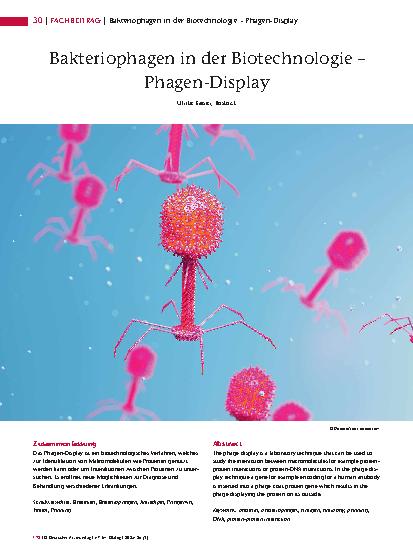 Vorschauseite 1: Bakteriophagen in der Biotechnologie – Phagen-Display