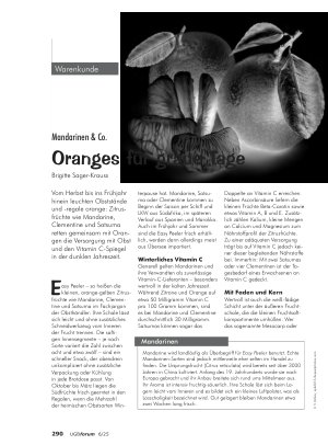 Vorschauseite 1: Mandarinen & Co. Oranges für graue Tage