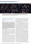 Vorschauseite 1: Pilzinfektionen: Kooperation von Mikroorganismen führt zu Arzneimitteltoleranz