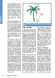 Vorschauseite 2: Im Gefühlsdschungel: Dem Klinikalltag emotional gewachsen sein.
