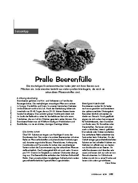 Vorschauseite 1: Pralle Beerenvielfalt