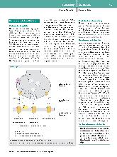Vorschauseite 2: Antagonisierung in der Anästhesie