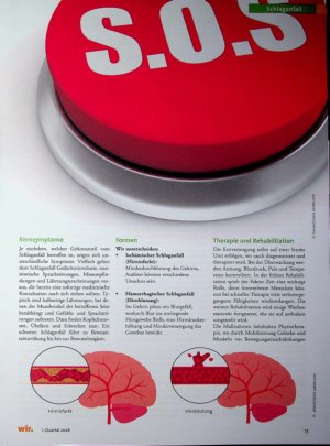 Vorschauseite 2: Nach dem Schlaganfafi: Wege zurück ins Leben Wie der Alltagsstress unser Gehirn gefährdet